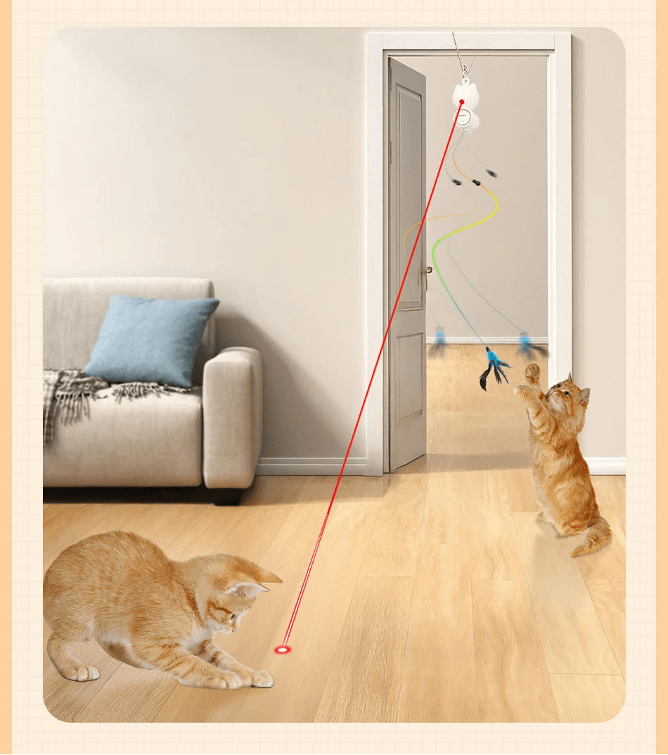 Jouet pour chat qui s'ennuie - ChatMour