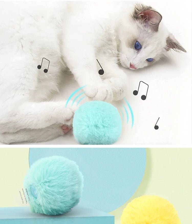 Meilleurs jouet pour chat - ChatMour