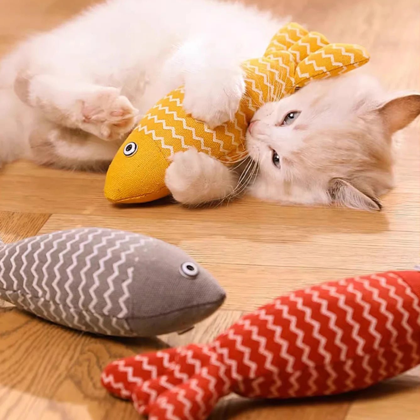 Meilleurs jouets pour chat - ChatMour